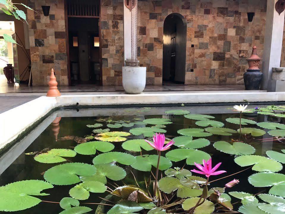 Jasmin Villa Ayurveda Resort ネゴンボ エクステリア 写真