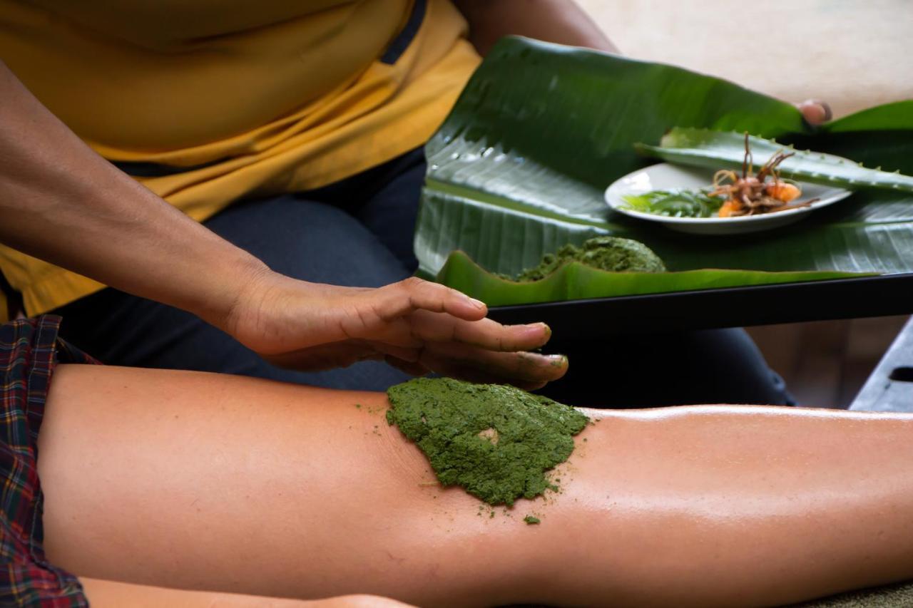Jasmin Villa Ayurveda Resort ネゴンボ エクステリア 写真