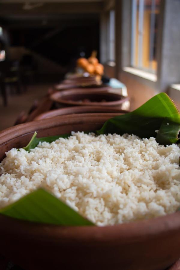 Jasmin Villa Ayurveda Resort ネゴンボ エクステリア 写真